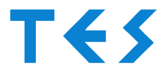 TES Group logo